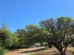 3367 3RD STREET CLEARLAKE, CA 95422