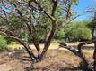 3367 3RD STREET CLEARLAKE, CA 95422