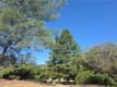 3367 3RD STREET CLEARLAKE, CA 95422
