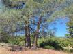 3367 3RD STREET CLEARLAKE, CA 95422