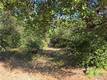3367 3RD STREET CLEARLAKE, CA 95422