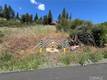 9284 BLEUSS WAY COBB, CA 95426