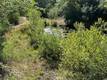 27257 19N16 ROAD UPPER LAKE, CA 95485