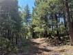 27257 19N16 ROAD UPPER LAKE, CA 95485