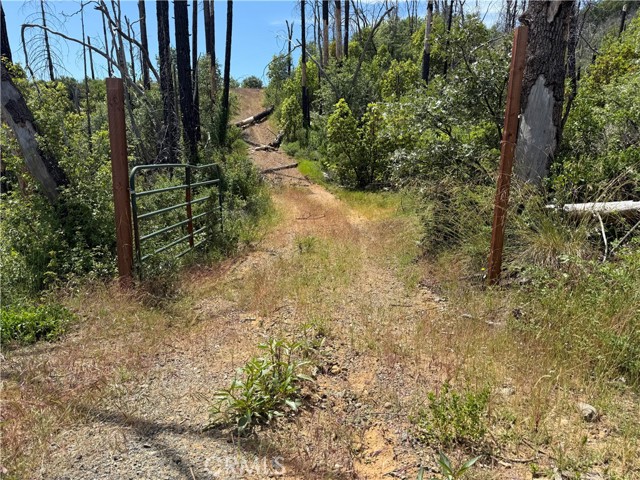 1833 HUNTER POINT DR UPPER LAKE, CA 95485