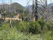 1833 HUNTER POINT DR UPPER LAKE, CA 95485