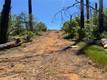 1833 HUNTER POINT DR UPPER LAKE, CA 95485