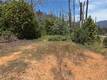 1833 HUNTER POINT DR UPPER LAKE, CA 95485