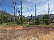 1833 HUNTER POINT DR UPPER LAKE, CA 95485