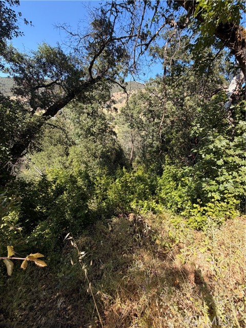 3403 KNOB NICE, CA 95464