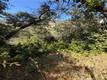 3403 KNOB NICE, CA 95464