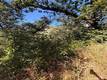 3403 KNOB NICE, CA 95464