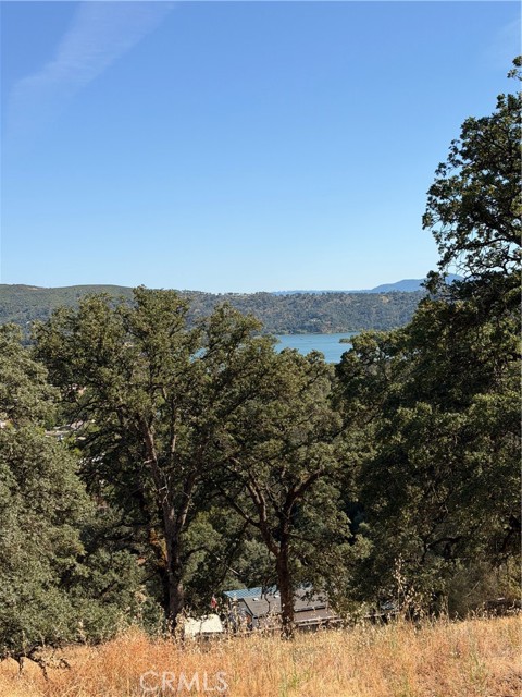 12657 MOUNTAIN VIEW DRIVE CLEARLAKE OAKS, CA 95423