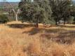 12657 MOUNTAIN VIEW DRIVE CLEARLAKE OAKS, CA 95423