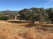 12657 MOUNTAIN VIEW DRIVE CLEARLAKE OAKS, CA 95423