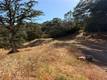 12657 MOUNTAIN VIEW DRIVE CLEARLAKE OAKS, CA 95423