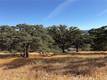 12657 MOUNTAIN VIEW DRIVE CLEARLAKE OAKS, CA 95423