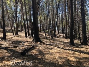 7097 HIGH VALLEY LUCERNE, CA 95458