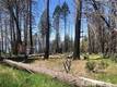 7097 HIGH VALLEY LUCERNE, CA 95458