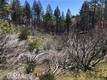 7097 HIGH VALLEY LUCERNE, CA 95458