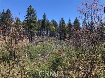 6847 HIGH VALLEY LUCERNE, CA 95458