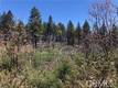 6847 HIGH VALLEY LUCERNE, CA 95458