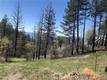 6847 HIGH VALLEY LUCERNE, CA 95458
