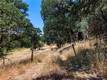 2447 HARTLEY STREET LAKEPORT, CA 95453
