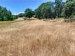 2447 HARTLEY STREET LAKEPORT, CA 95453