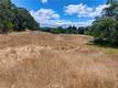 2447 HARTLEY STREET LAKEPORT, CA 95453