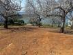 3165 WESTRIDGE DRIVE KELSEYVILLE, CA 95451