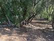 3470 SHORELINE VIEW WAY KELSEYVILLE, CA 95451
