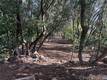 3470 SHORELINE VIEW WAY KELSEYVILLE, CA 95451