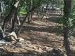 3470 SHORELINE VIEW WAY KELSEYVILLE, CA 95451