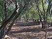 3470 SHORELINE VIEW WAY KELSEYVILLE, CA 95451