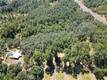 1343 SHADY LANE LAKEPORT, CA 95453