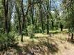 1343 SHADY LANE LAKEPORT, CA 95453