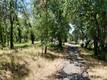 1343 SHADY LANE LAKEPORT, CA 95453