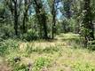 1343 SHADY LANE LAKEPORT, CA 95453