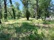 1343 SHADY LANE LAKEPORT, CA 95453
