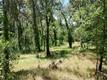 1343 SHADY LANE LAKEPORT, CA 95453