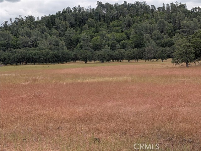 19905 JERUSALEM GRADE LOWER LAKE, CA 95457