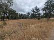 19905 JERUSALEM GRADE LOWER LAKE, CA 95457