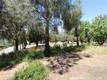 6940 GRANDE VISTA DRIVE KELSEYVILLE, CA 95451