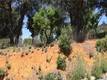 6940 GRANDE VISTA DRIVE KELSEYVILLE, CA 95451