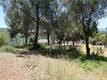 6940 GRANDE VISTA DRIVE KELSEYVILLE, CA 95451