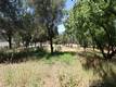 6940 GRANDE VISTA DRIVE KELSEYVILLE, CA 95451