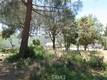 6940 GRANDE VISTA DRIVE KELSEYVILLE, CA 95451