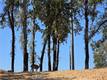 18379 LAKERIDGE HIDDEN VALLEY LAKE, CA 95467