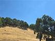 18379 LAKERIDGE HIDDEN VALLEY LAKE, CA 95467